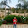 Mahammad fayad