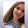 İREM ASLAN