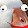 Silly Goose