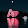 Ayesha Angle