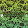 ToXiCcLoNe 999استنساخ