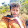 Vipul Rana