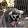 Lolly Lemur