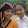 Thành Tôn