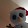 Scoopandnyla