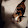 Alpha_436