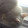 Semyon T