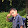 Random_ Ronald278