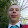 Александр Мельников