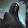 Deadnight Reaper