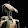 B1 battledroids Lives matter
