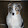Marley Australian Sheperd
