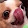 michaelnoper
