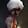 Khabib nurmagomedov ali #portsmouth division uk