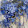Nondescript