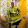 PAPE IBRAHIMA FAYE