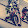 Köbes Motorbike