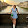 Cassandre Legault