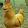 เฮียไก่ พาเพลิน