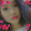 Mary Johanna B. Sagucio