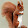 Avanti Animation