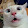 Thomasrz
