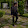 Francesco _2304
