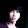 van loi vo