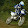 Max R6s
