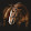 Giuly Horses