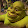 caden