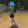 Trân Lùq#minminchannel