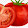 Fancy TOMATOE