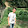 Jimmy Wong