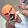 Chris 182u