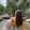Ana Almeida