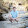 Gavin Campbell