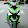 VN RACING BOY