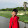 Happy You
