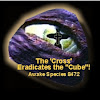 http://yt3.ggpht.com/-xBgztsxTu1s/AAAAAAAAAAI/AAAAAAAAAAA/FPqJzuwH0Ug/s100-c-k-no/photo.jpg