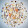 Music 70