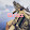 CHUNK 340