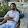 Saleem Hassan