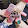 BLINK OF BLACKPINK