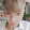 Chanlong Phan