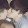 Asian Videos