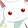 neko mata