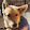 Keita Foxy