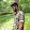 Ragu Raj