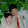 Trai Nghiem Cuoc Song